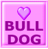BULL DOG 